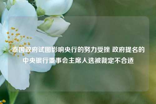 泰国政府试图影响央行的努力受挫 政府提名的中央银行董事会主席人选被裁定不合适