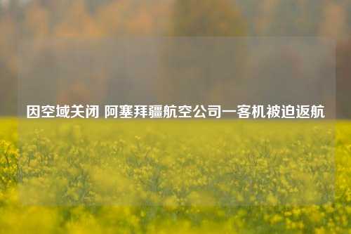 因空域关闭 阿塞拜疆航空公司一客机被迫返航