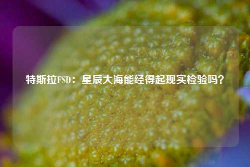 特斯拉FSD：星辰大海能经得起现实检验吗？