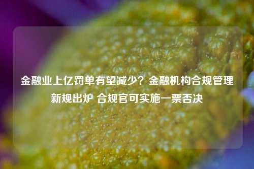 金融业上亿罚单有望减少？金融机构合规管理新规出炉 合规官可实施一票否决