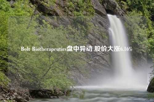 Bolt Biotherapeutics盘中异动 股价大涨6.16%