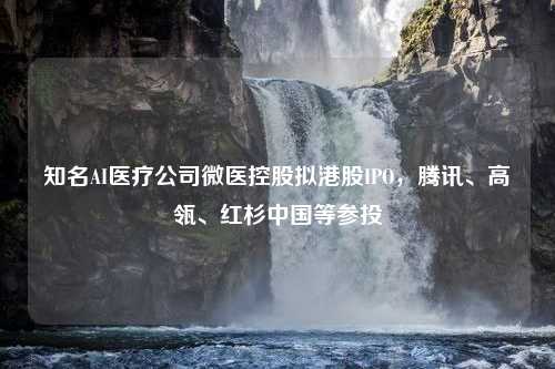 知名AI医疗公司微医控股拟港股IPO，腾讯、高瓴、红杉中国等参投