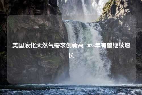 美国液化天然气需求创新高 2025年有望继续增长