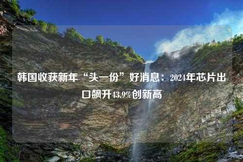 韩国收获新年“头一份”好消息：2024年芯片出口飙升43.9%创新高