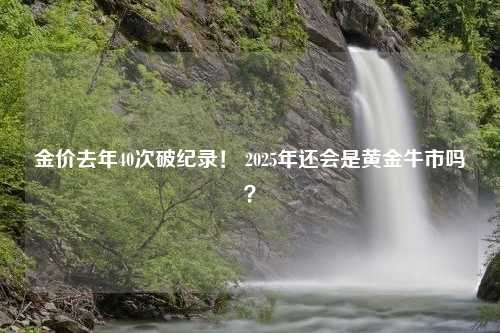 金价去年40次破纪录！ 2025年还会是黄金牛市吗？