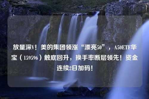 放量深V！美的集团领涨“漂亮50”，A50ETF华宝（159596）触底回升，换手率断层领先！资金连续2日加码！